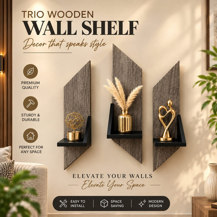 Modern Decorative Wall Mounted Shelves Set Of 3